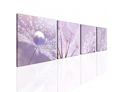 Pampeliška v kapkách ranní rosy (Velikost 80x80 cm)
