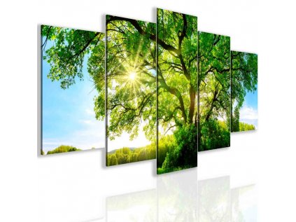Pětidílný obraz krásný strom (Velikost 100x50 cm)