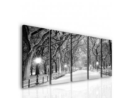 Večerní procházka parkem (Velikost 200x90 cm)