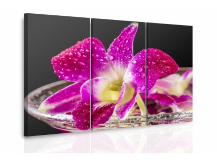 Vícedílný obraz - Fialová orchidej (Velikost 120x80 cm)