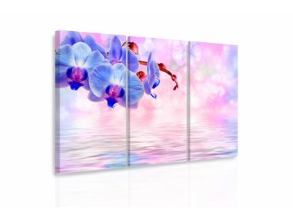 Vícedílný obraz - Modrá orchidej (Velikost 90x60 cm)