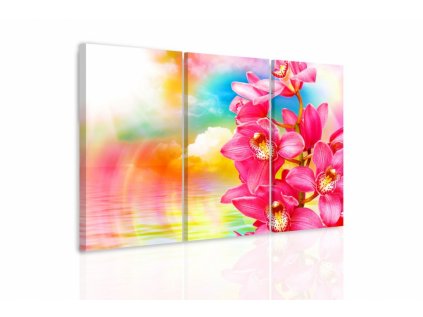Vícedílný obraz - Orchidej (Velikost 90x60 cm)