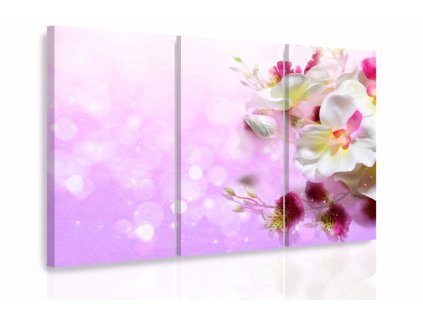 Vícedílný obraz - Orchidej fantazie (Velikost 120x80 cm)