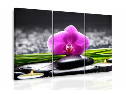 Vícedílný obraz - Orchidej při svíčkách (Velikost 120x80 cm)