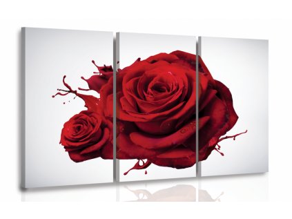 Vícedílný obraz - Růže (Velikost 90x60 cm)