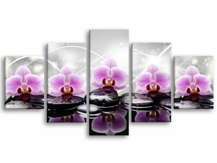 Třpyticí orchidej (Velikost 150x80 cm)