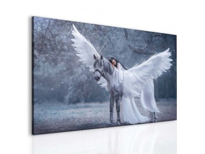 Fantasy Pegas a láska (Velikost (šířka x výška) 80x60 cm)