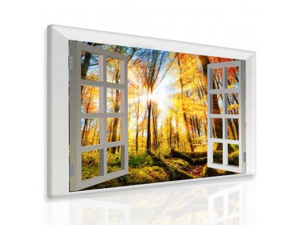 Obraz okno do přírody (Velikost 80x60 cm)