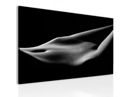 Obraz tajemství těla (Velikost (šířka x výška) 90x60 cm)