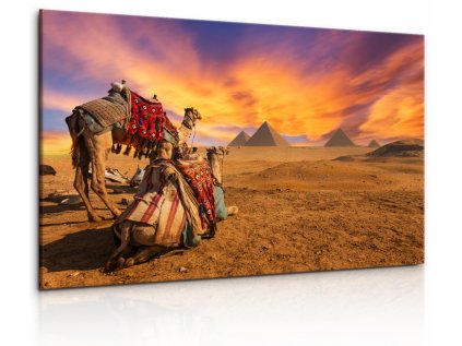Obraz Egyptská sahara (Velikost 90x60 cm)