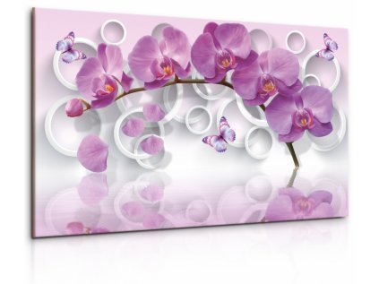 Obraz Růžová motýlí orchidej (Velikost 90x60 cm)