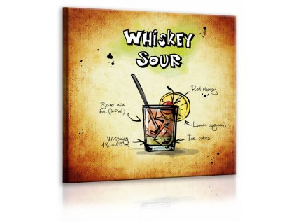 Obraz cedule Whiskey Sour (Velikost (šířka x výška) 40x40 cm)