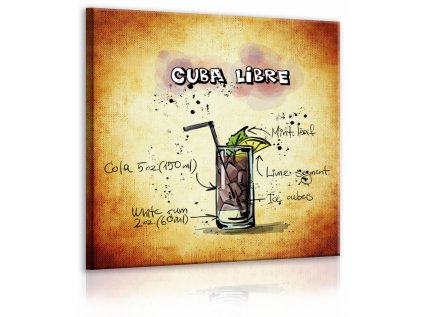 Obraz cedule Cuba Libre (Velikost (šířka x výška) 40x40 cm)