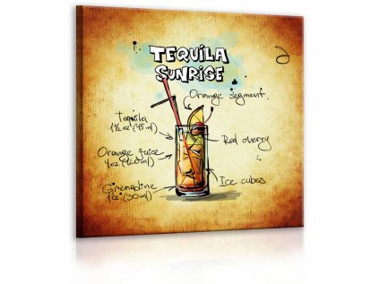 Obraz cedule Tequila Sunrise (Velikost (šířka x výška) 40x40 cm)
