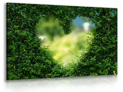 Obraz živý plot - srdce (Velikost (šířka x výška) 90x60 cm)