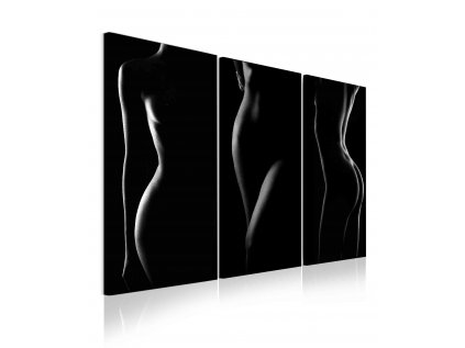 Obraz krása ženského těla (Velikost (šířka x výška) 90x60 cm)
