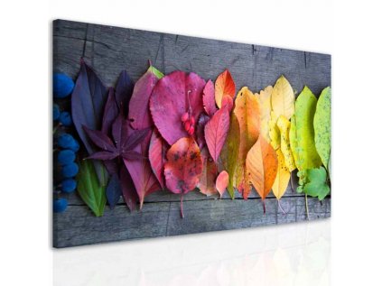 Obraz kouzlo podzimní atmosféry (Velikost (šířka x výška) 90x60 cm)