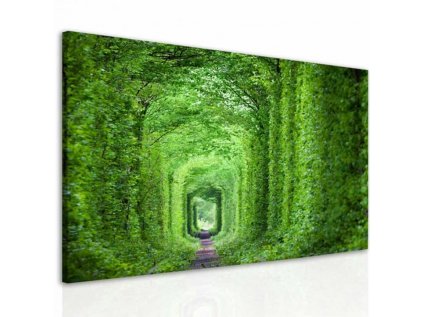 Obraz zelený tunel (Velikost (šířka x výška) 60x40 cm)