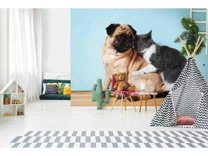 kočka a pesshutterstock 538300048 interiér