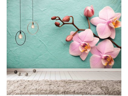 orchidej shutterstock 181458257 interiér