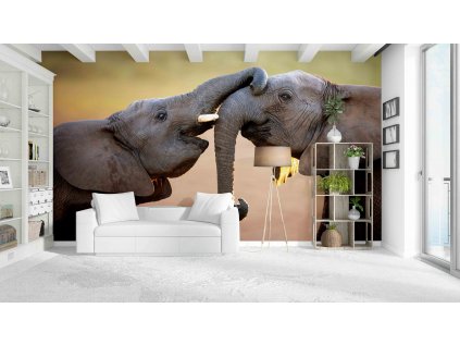 sloní láska shutterstock 111119381 interiér