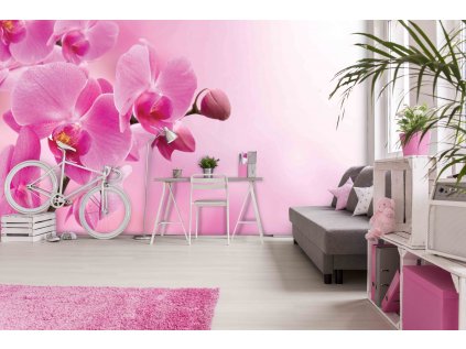 orchidej shutterstock 72919795 interiér
