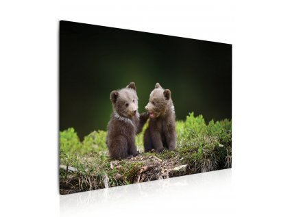 8080800026 Obraz medvíďata v lese 3D
