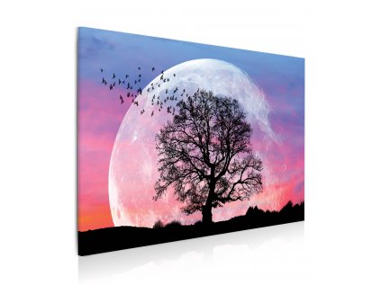 8080800016 Obraz Měsíc a strom 3D