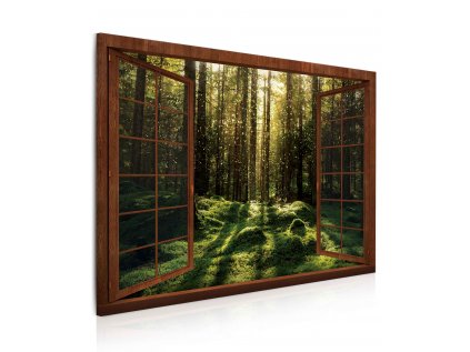 8080800004 Obraz kouzelný mechový les 3D
