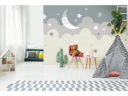 Spící měsíc shutterstock 1039898860 interier