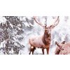 Jelen v zimě (Velikost 100x60 cm)