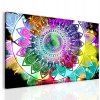 Obraz barevná mandala (Velikost 150x100 cm)