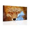 Obraz - Liška (Velikost (šířka x výška) 90x60 cm)
