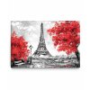 10101067 obraz malby pariz 2D