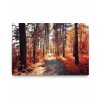 100134 obraz na platne podzimni prochazka 2D