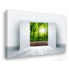 Obraz na zeď - výhled do lesa (Velikost 60x40 cm)