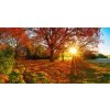 Obraz - Podzimní slunce (Velikost 140x70 cm)