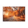 Obraz podzim v aleji (Velikost 60x40 cm)