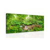 Obraz - Pohled do lesa (Velikost 140x70 cm)