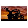 Sexy žena na motorce (Velikost (šířka x výška) 90x50 cm)