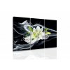 Vícedílný obraz - Lilie a diamanty (Velikost 120x80 cm)