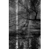 Obraz černobílá pohoda lesa (Velikost 200x90 cm)
