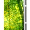 5okno lesni strazce 120x80