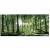 Obraz ranní slunce v lese (Velikost (šířka x výška) 70x30 cm)