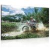 Obraz Zběsilý motorkář (Velikost 90x60 cm)