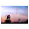 Obraz pampeliška v oblacích (Velikost (šířka x výška) 90x60 cm)