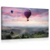 Obraz balóny nad lesem (Velikost (šířka x výška) 90x60 cm)