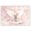 Obraz snová holubice (Velikost (šířka x výška) 90x60 cm)