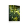 Obraz ranní rozostření (Velikost (šířka x výška) 60x90 cm)