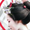 Obraz - japonka (Velikost (šířka x výška) 50x90 cm)